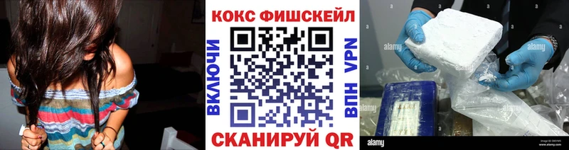 Купить закладки  Саранск  Cocaine FishScale 