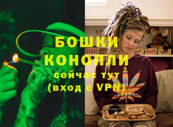 ПСИЛОЦИБИНОВЫЕ ГРИБЫ Лиски