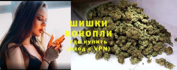 ПСИЛОЦИБИНОВЫЕ ГРИБЫ Лиски